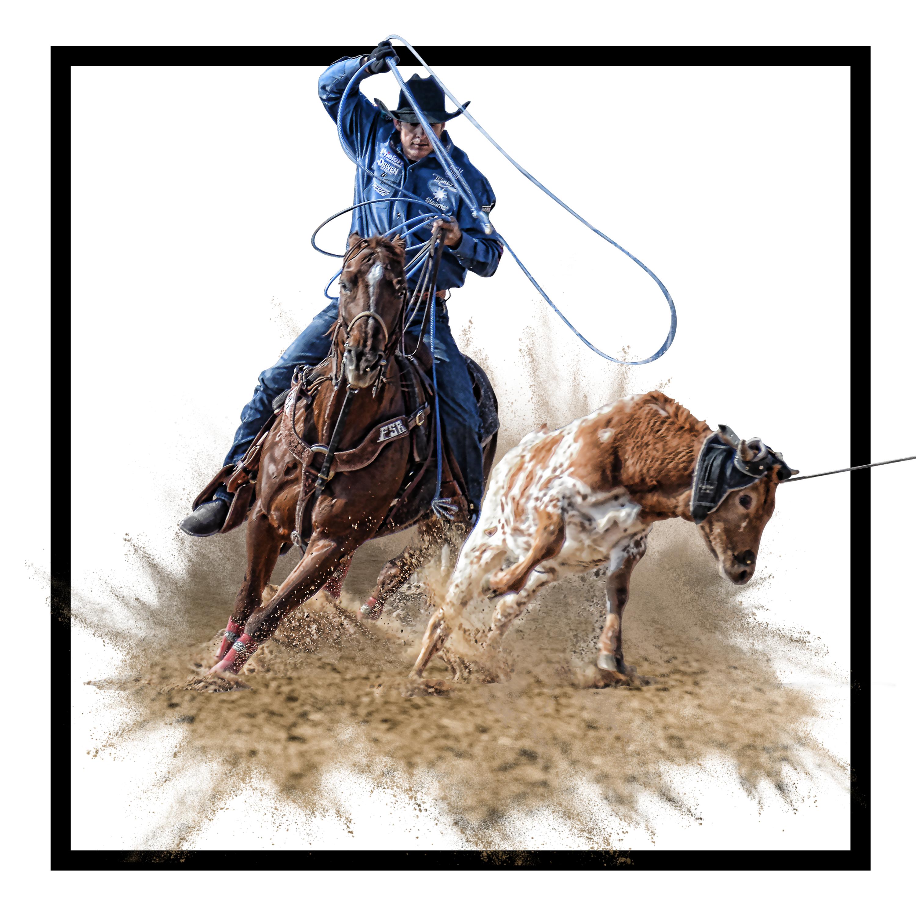 Shop Heel Ropes by Lone Star Ropes